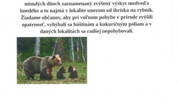 Aktuality / Medveď hnedý-rybník Ďanová - foto