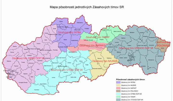 Aktuality / Medveď hnedý - zásahový tím - foto